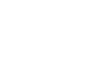 FX